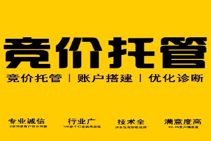 搜索引擎营销（SEM）在本地市场的投放案例
